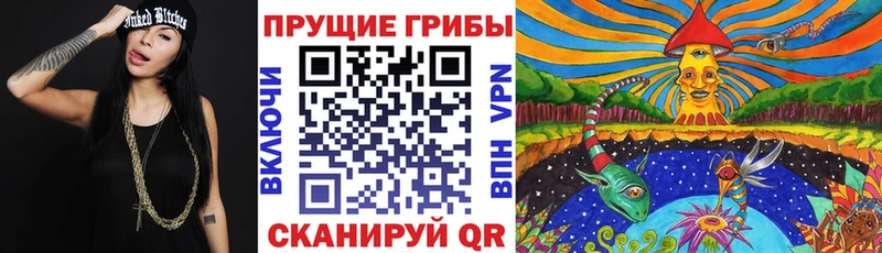 Галлюциногенные грибы Psilocybine cubensis  Соликамск 